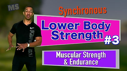 Synchronous LOWER Body #3 MS N